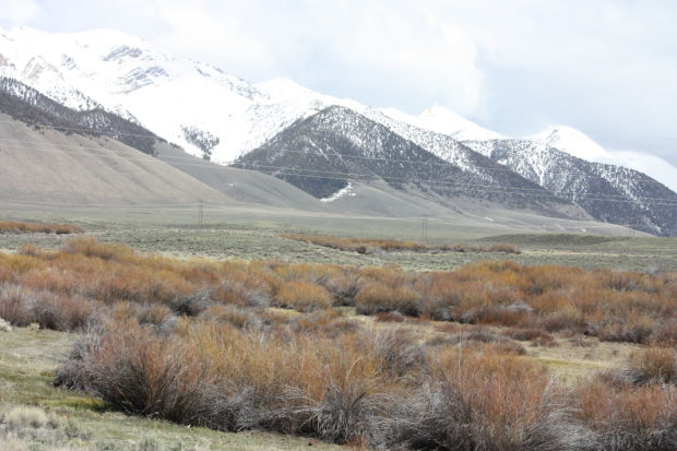 Idaho Mountains
